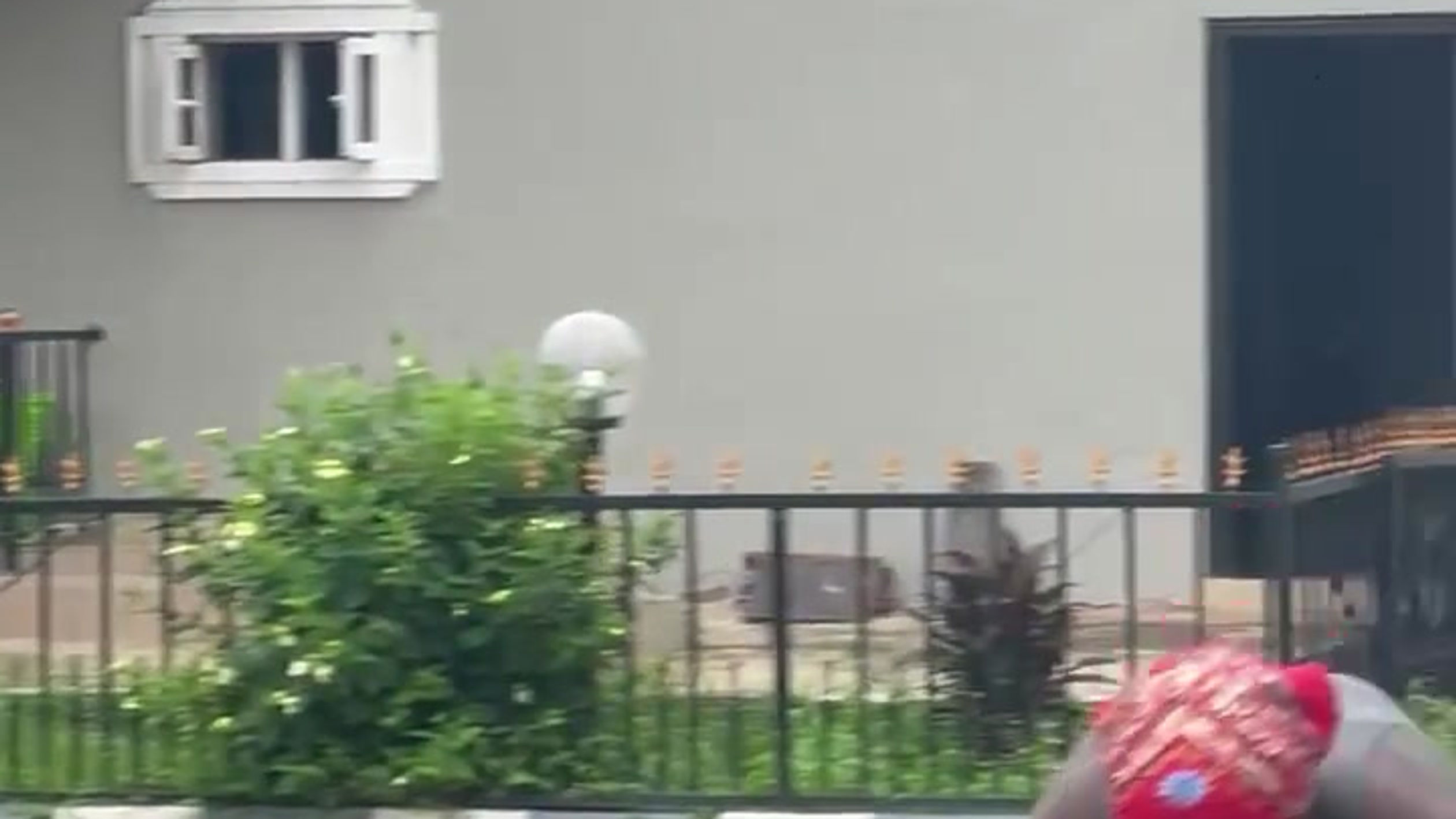 WhatsApp Video 2024-08-19 at 12.34.07 PM
